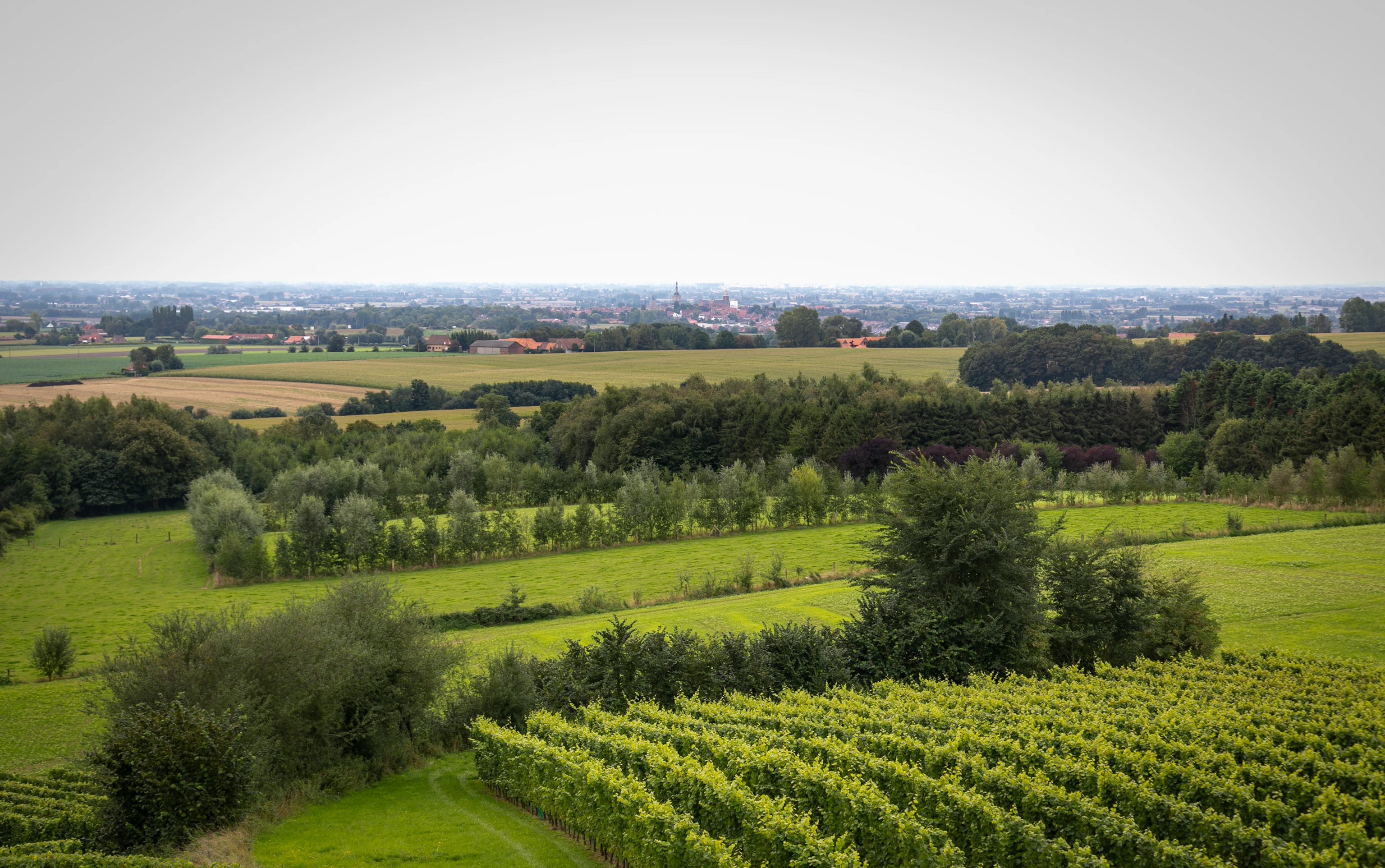 Op de Rodeberg, alles op wandelafstand